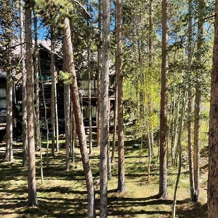 Luxury Modern Townhome Steps To Ski Lifts And Downtown With Nature At Your Patio Breckenridge Esterno foto